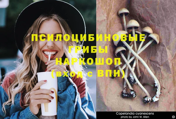 бошки Магас