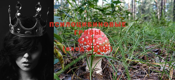 хмурый Магадан