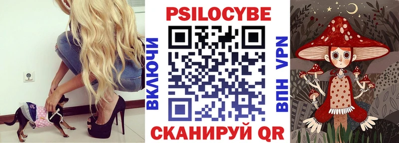 Псилоцибиновые грибы Magic Shrooms  Купить закладки  Николаевск 